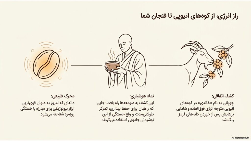 چرا قهوه حال ما را بهتر میکند؟ بررسی علمی تاثیر قهوه بر مغز