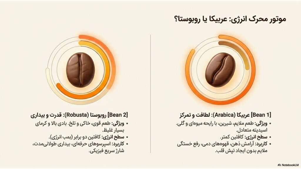 چرا قهوه حال ما را بهتر میکند؟ بررسی علمی تاثیر قهوه بر مغز
