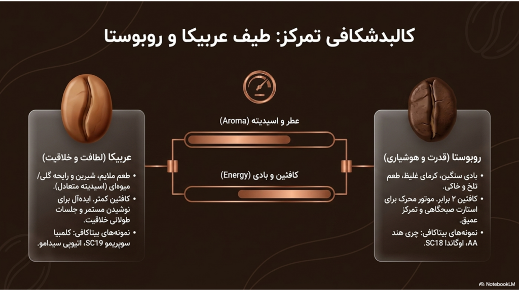 راهنمای کامل انتخاب بهترین قهوه برای محل کار و افزایش تمرکز