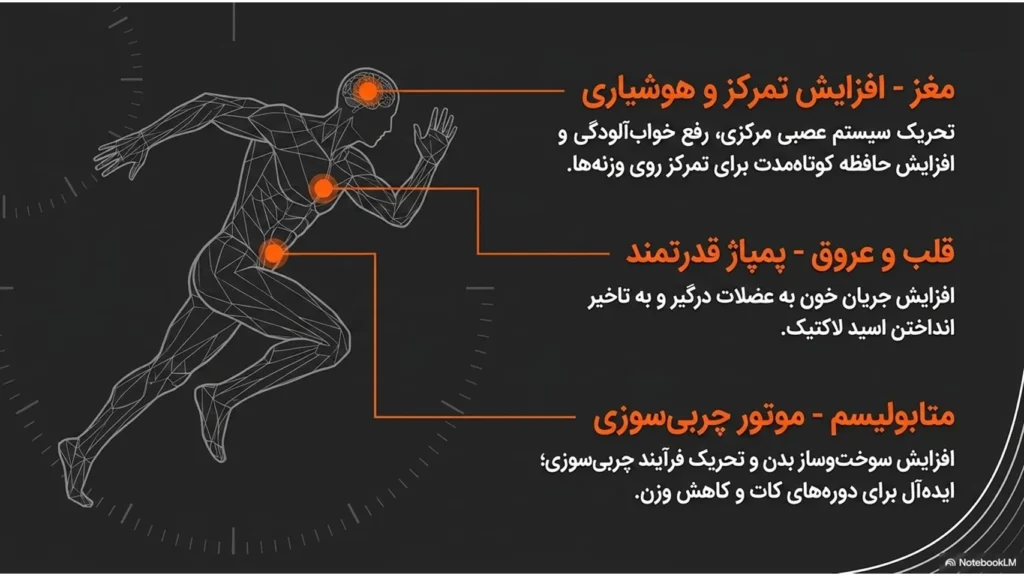 ورزش و قهوه: راهنمای علمی انتخاب قهوه مناسب برای باشگاه، بدنسازی، دوچرخهسواری و کوهنوردی
