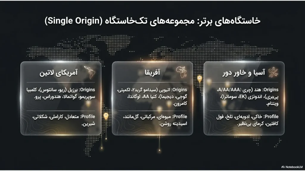چه محصولاتی برای منوی کافی شاپ ضروری هستند؟ راهنمای کامل طراحی منوی کافه