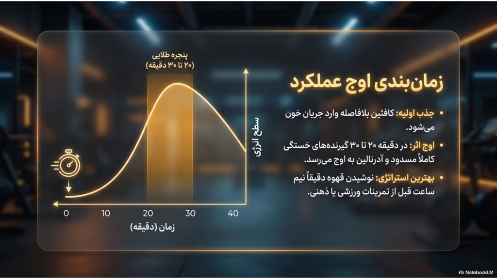 قهوه و کاهش خستگی: چرا بعد از یک فنجان قهوه سرحال می‌شویم؟