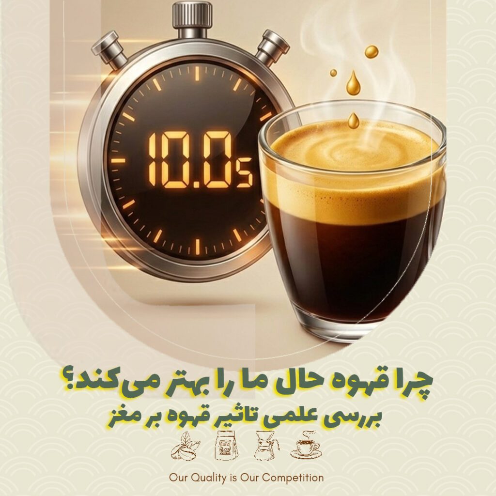 چرا قهوه حال ما را بهتر می‌کند؟ بررسی علمی تاثیر قهوه بر مغز