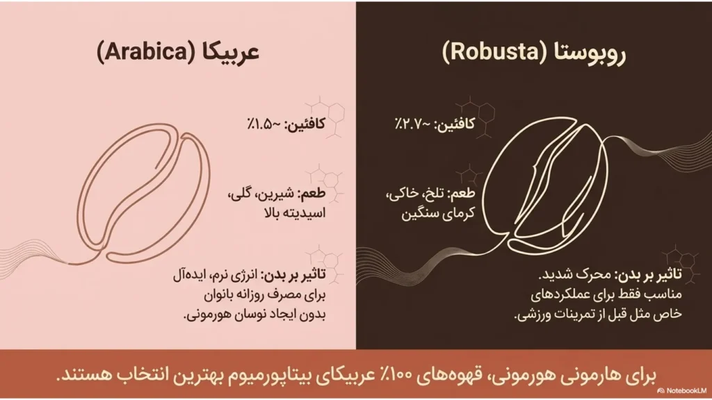 قهوه و هورمونها | تاثیر کافئین بر چرخه زنان