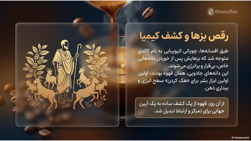 روانشناسی و اسطورهشناسی قهوه؛ جادوی تمرکز در فنجان | بیتاکافی