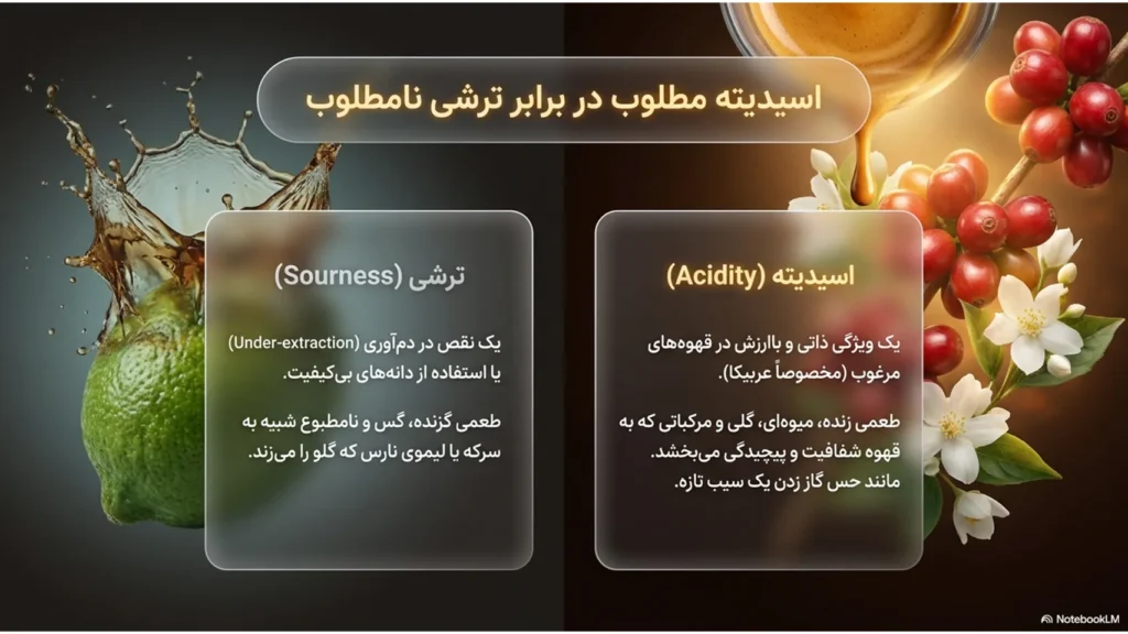 راز اسیدیته قهوه: چرا بعضی قهوهها ترش هستند؟