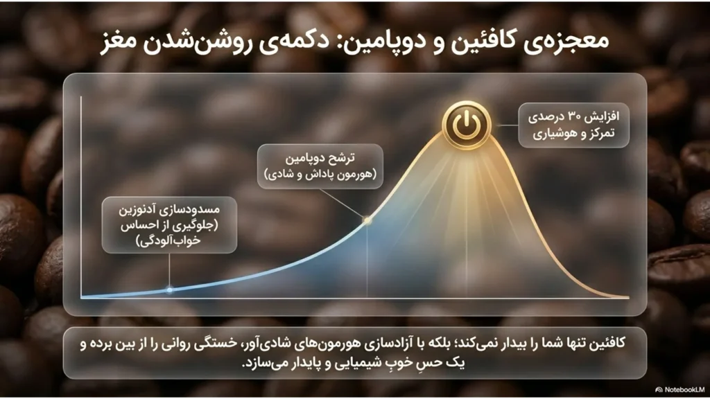 چرا قهوه حالمون رو بهتر می‌کنه؟ علم، احساس و جادوی یک فنجان
