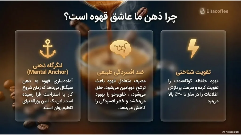 روانشناسی و اسطورهشناسی قهوه؛ جادوی تمرکز در فنجان | بیتاکافی