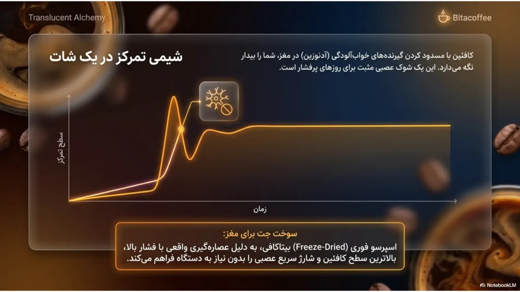 روانشناسی و اسطورهشناسی قهوه؛ جادوی تمرکز در فنجان | بیتاکافی