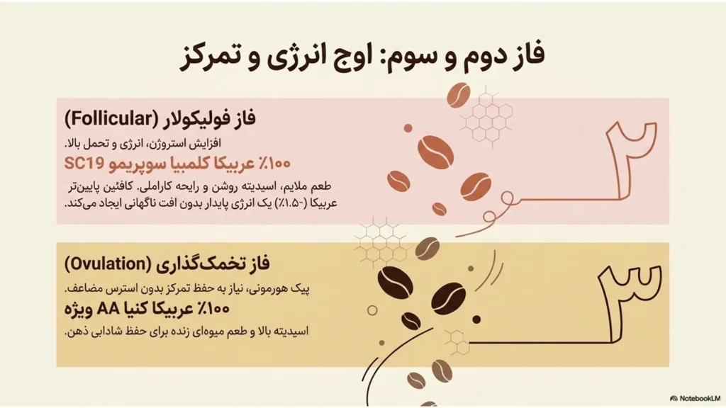 قهوه و هورمونها | تاثیر کافئین بر چرخه زنان
