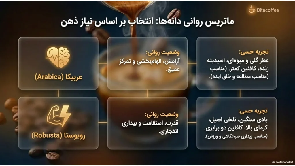 روانشناسی و اسطورهشناسی قهوه؛ جادوی تمرکز در فنجان | بیتاکافی