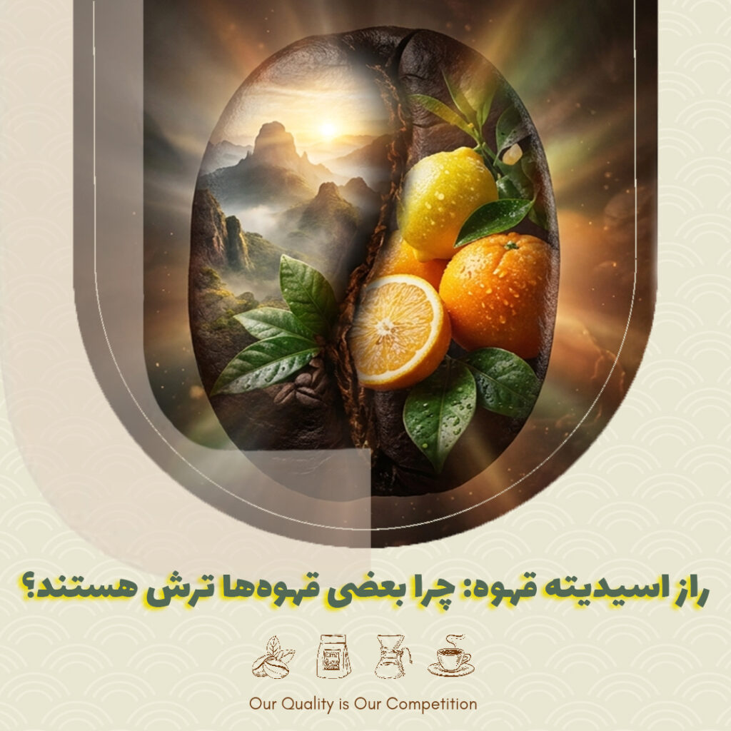 راز اسیدیته قهوه: چرا بعضی قهوه‌ها ترش هستند؟