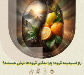 راز اسیدیته قهوه: چرا بعضی قهوه‌ها ترش هستند؟